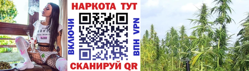 Купить закладку Амфетамин  МЕФ  Alpha-PVP  МАРИХУАНА  Псилоцибиновые грибы  Кокаин  Заполярный