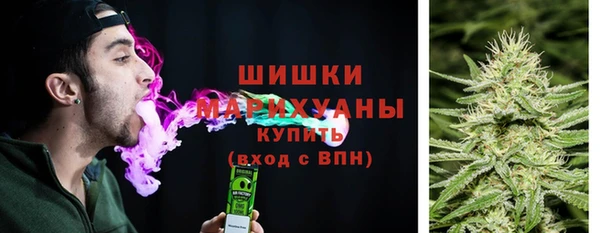 ГАЛЛЮЦИНОГЕННЫЕ ГРИБЫ Осинники