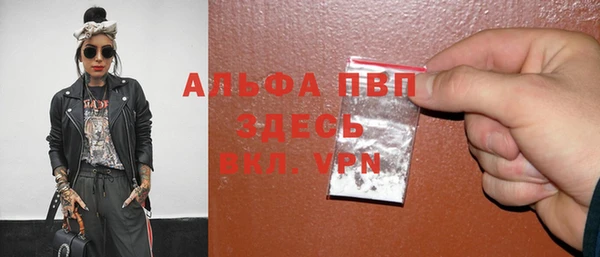 ГАЛЛЮЦИНОГЕННЫЕ ГРИБЫ Осинники