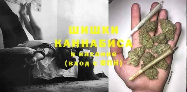ГАЛЛЮЦИНОГЕННЫЕ ГРИБЫ Осинники