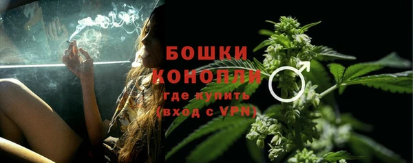 прущие грибы Осташков