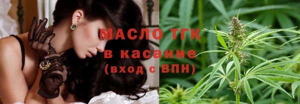 прущие грибы Осташков