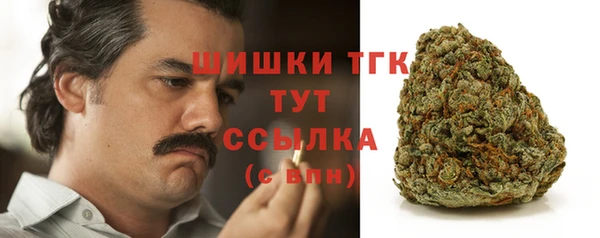 ГАЛЛЮЦИНОГЕННЫЕ ГРИБЫ Осинники