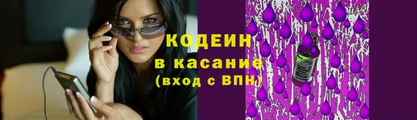 прущие грибы Осташков