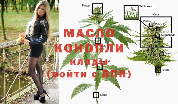 ГАЛЛЮЦИНОГЕННЫЕ ГРИБЫ Осинники