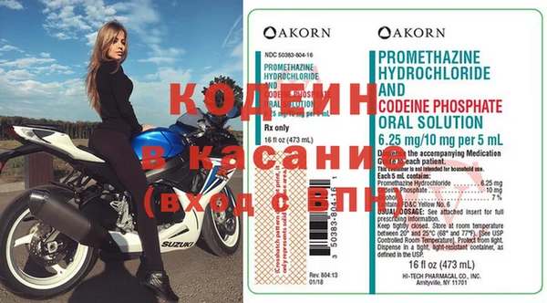 прущие грибы Осташков