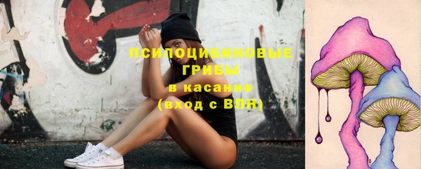 прущие грибы Осташков