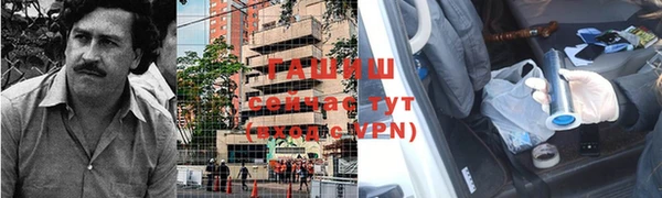 ГАЛЛЮЦИНОГЕННЫЕ ГРИБЫ Осинники