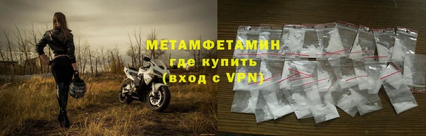 прущие грибы Осташков