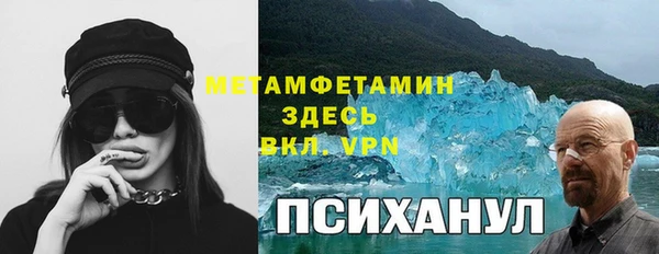 прущие грибы Осташков