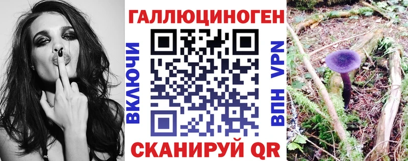 Псилоцибиновые грибы Magic Shrooms  Купить где  Заполярный 